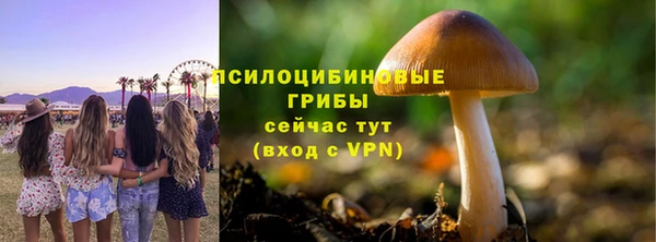 спиды Мегион