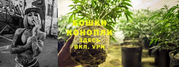 спиды Мегион