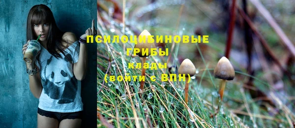 MDMA Медногорск