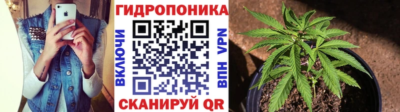 Конопля планчик Верхняя Пышма