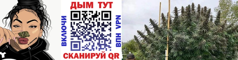 Канабис планчик  Купить  Верхняя Пышма 